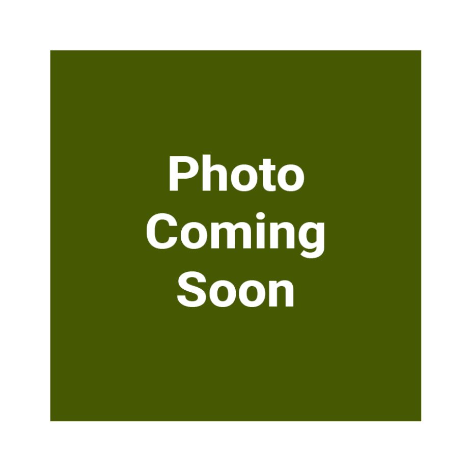 photo coming soon