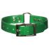 omni pet dog collar green with loop