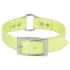 omni pet dog collar yellow with loop