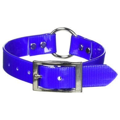 omni pet dog collar with loop blue