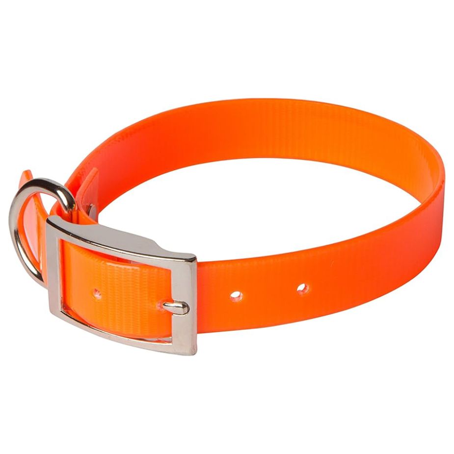 omni pet dog collar orange