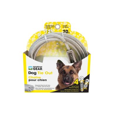 dog tie out chain