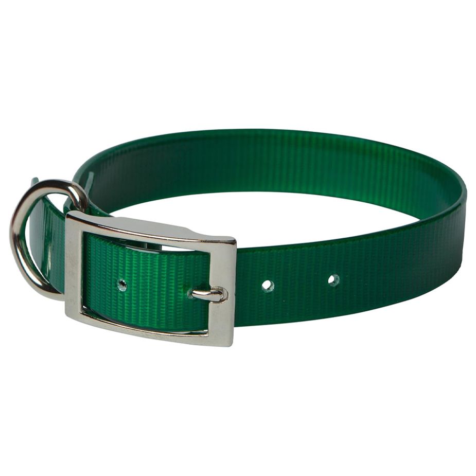 omni pet dog collar green