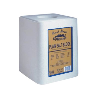 ranch house trace mineral block white