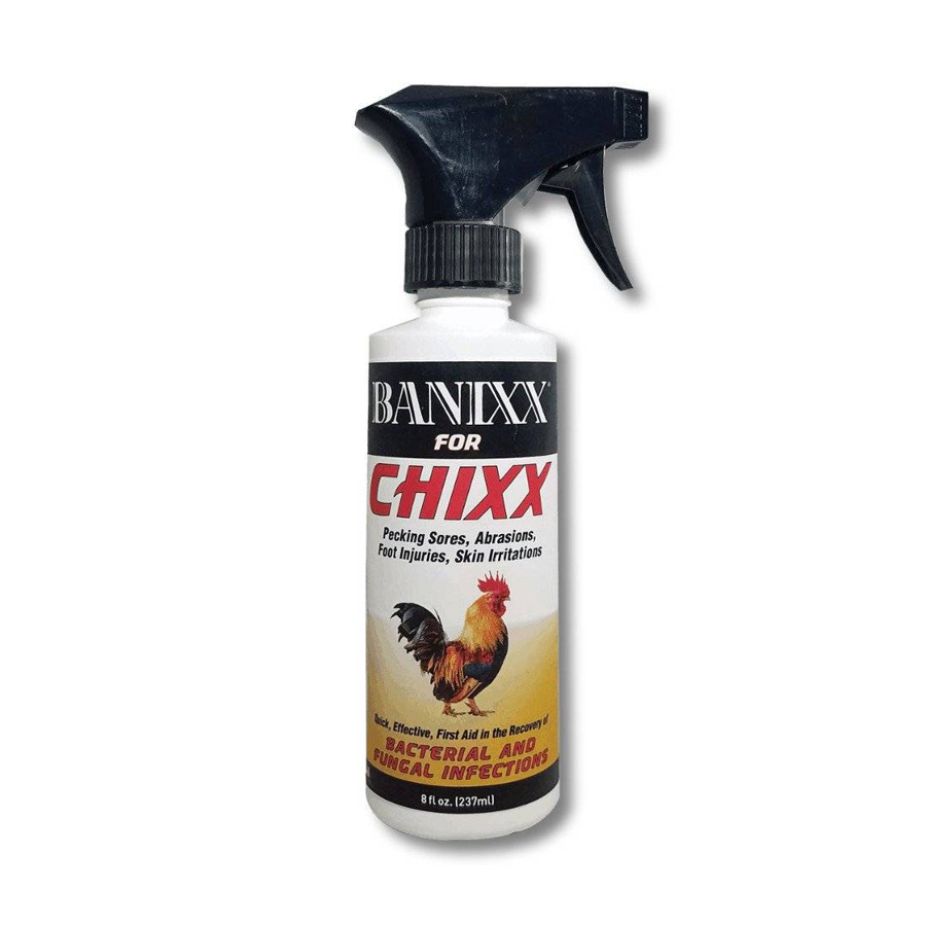 banixx for chixx