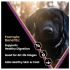 victor super premium dog food