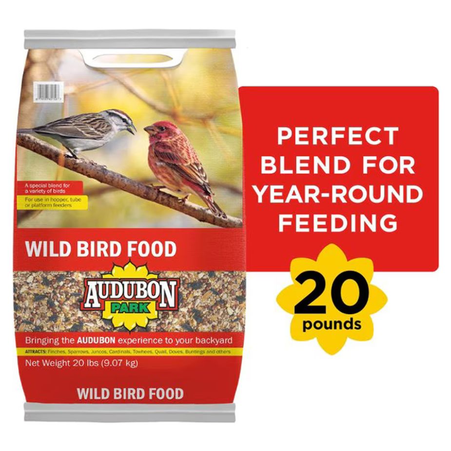 audubon wild bird feed