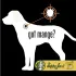 happy jack ointment dog treatment