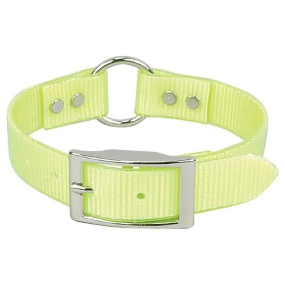 omni pet dog collar yellow with loop