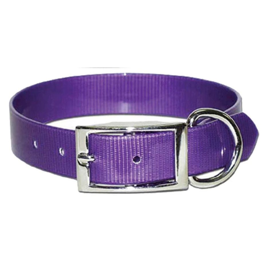 omni pet purple dog collar