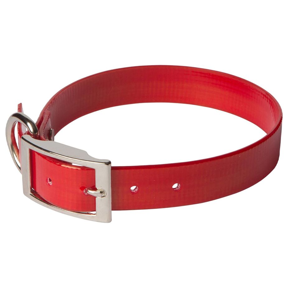 omni pet dog collar red