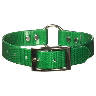 omni pet dog collar green with loop