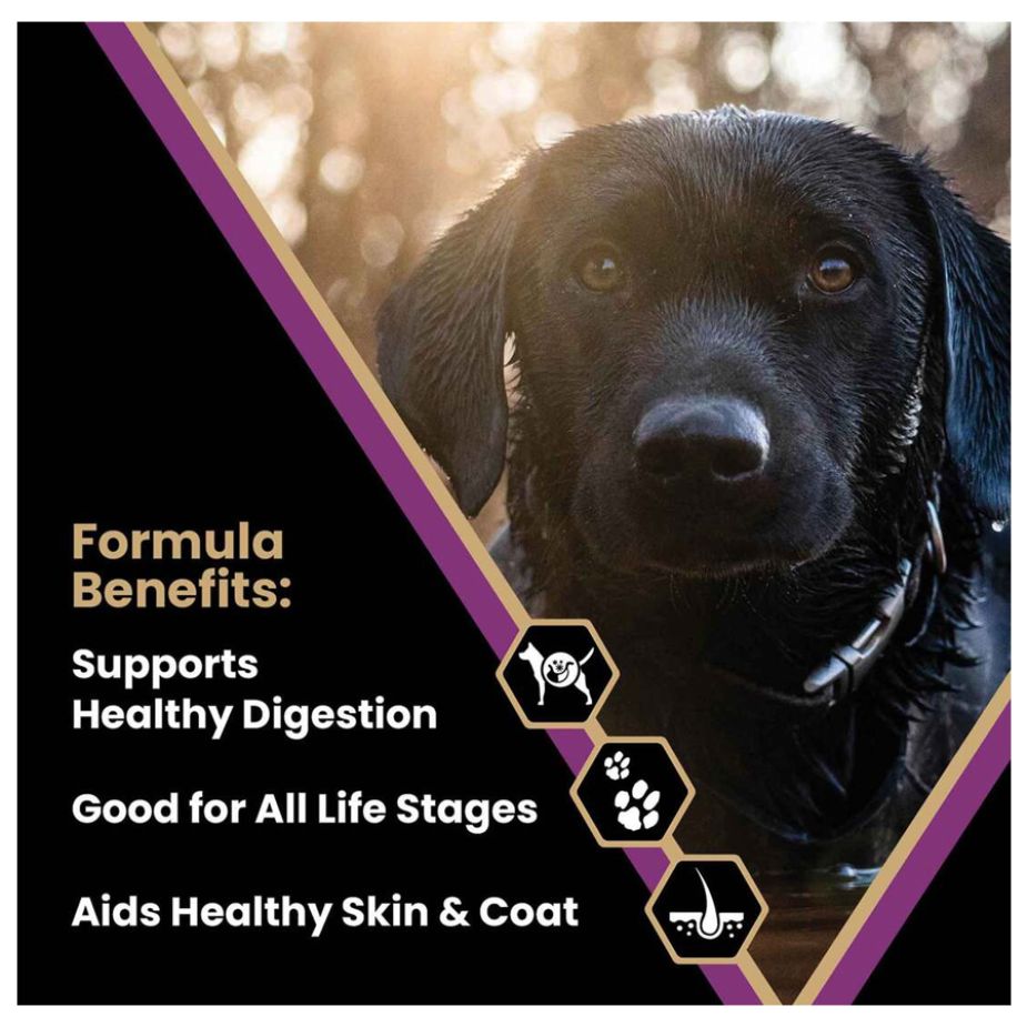 victor super premium dog food