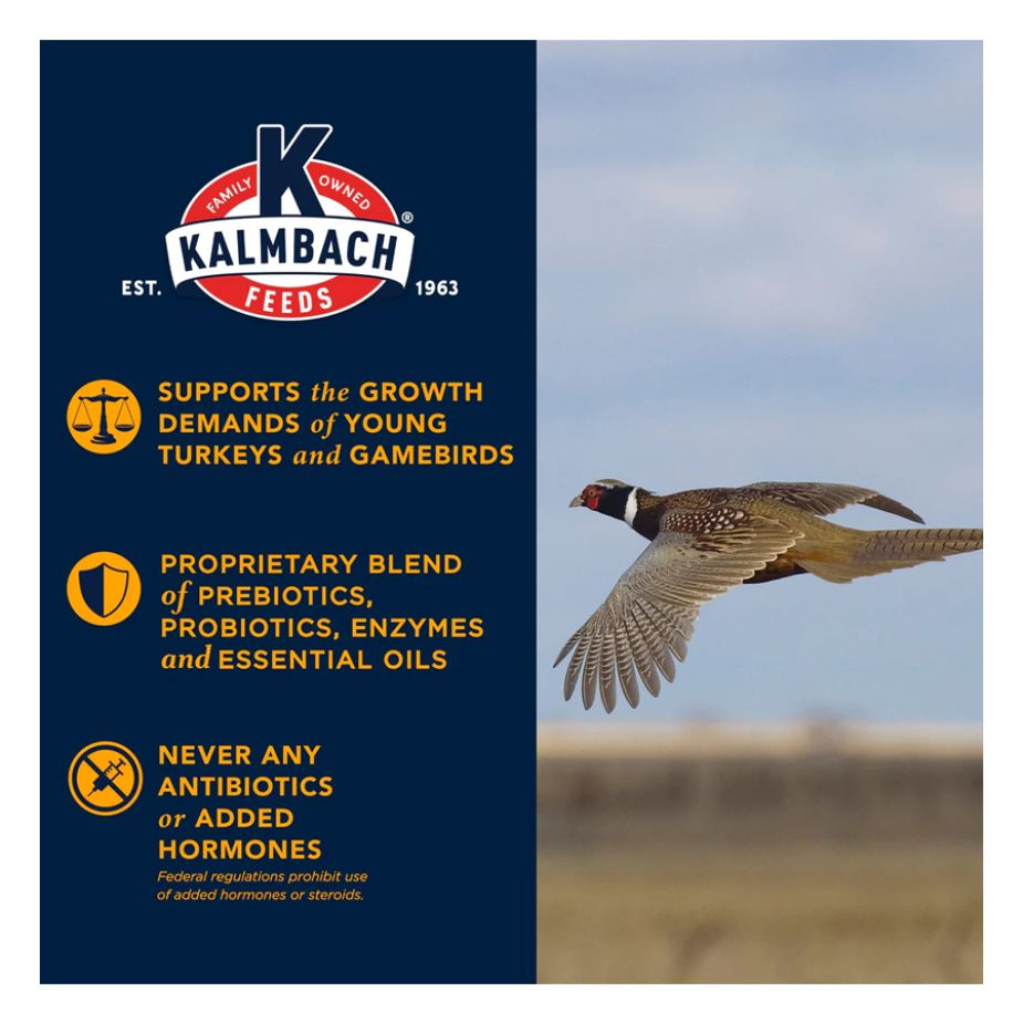 kalmbach gamebird feed turkey