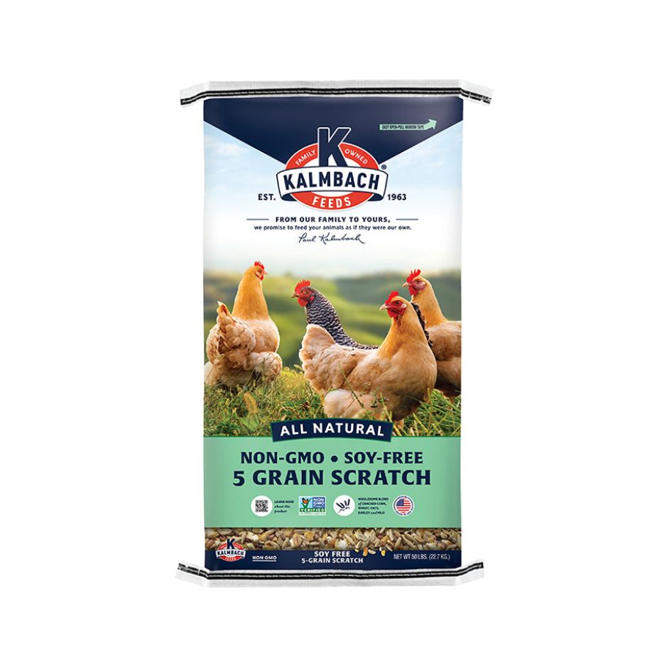 kalmbach feeds non GMO soy free 5 grain scratch chicken feed