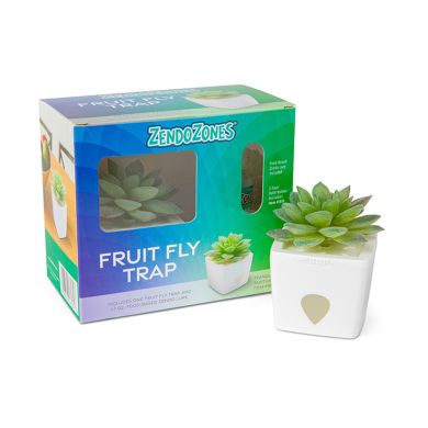 zendozones fruit fly trap