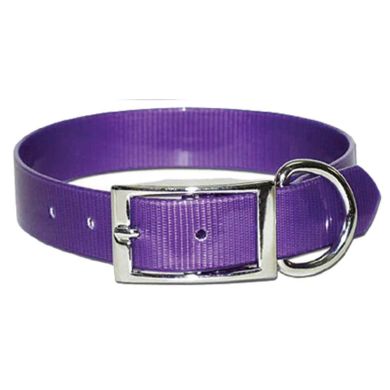 omni pet purple dog collar