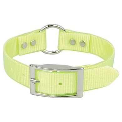 omni pet dog collar yellow with loop