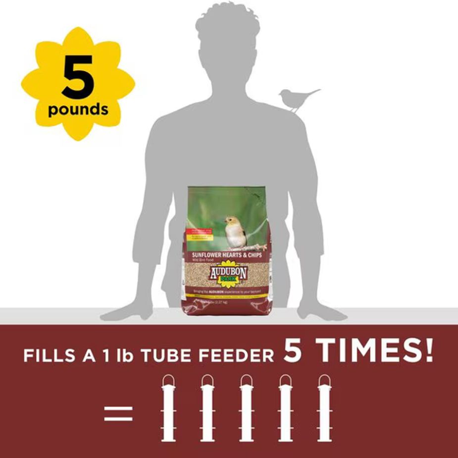 audubon bird feed sunflower hearts