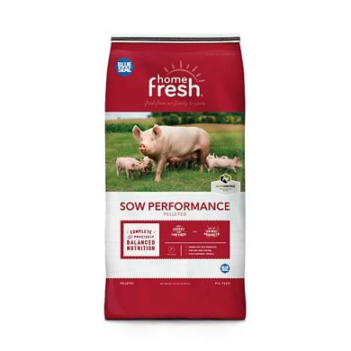 blue seal sow performance feed