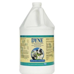 DYNE 1 GALLON