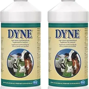 DYNE 32 OZ