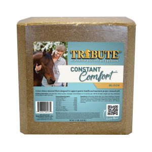 TRIBUTE CONSTANT COMFORT BLOCK
