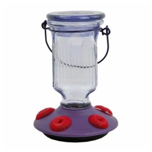 lavendar perky pet hummingbird feeder
