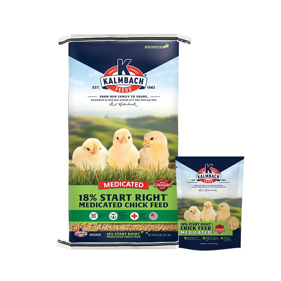 kalmbach chick feed medicated