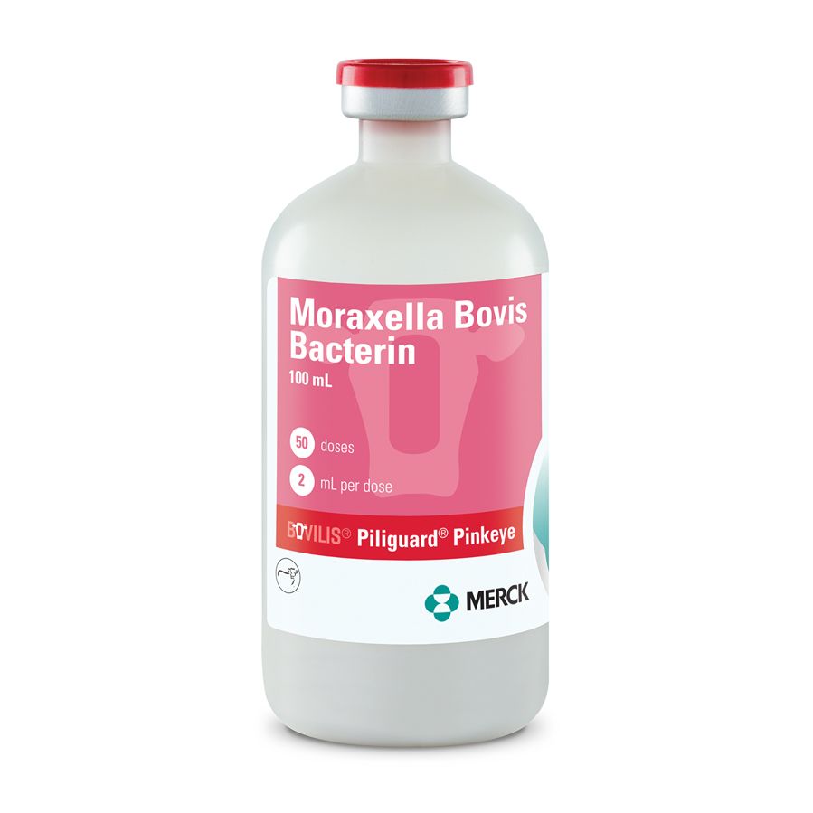 bovilis piliguard pink eye treatment