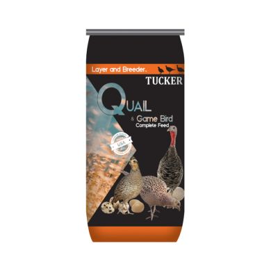 quail game bird layer breeder