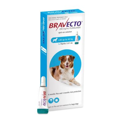 bravecto large dog