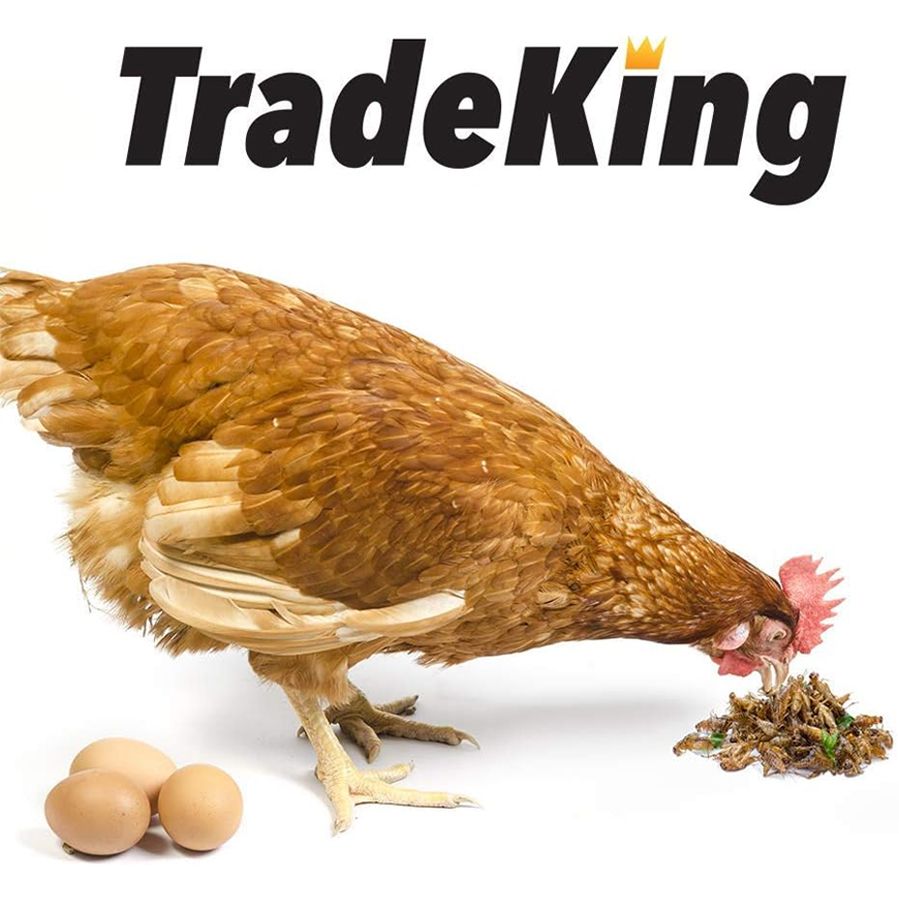 trade king dried crickets