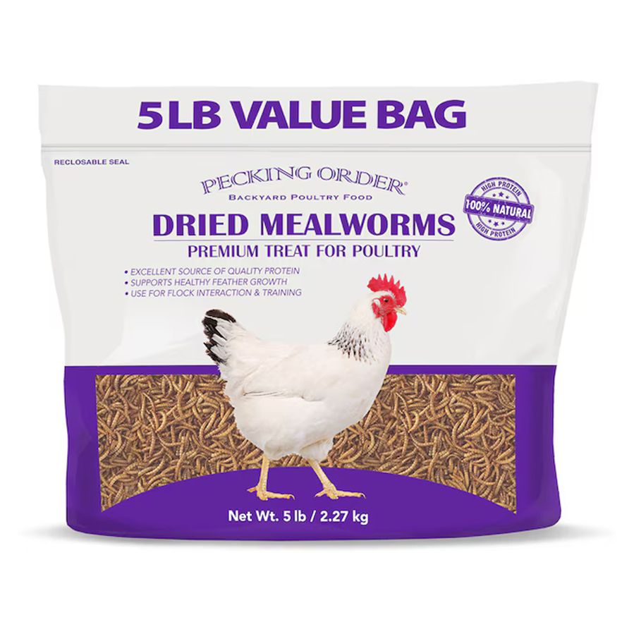 dried mealworms pecking order