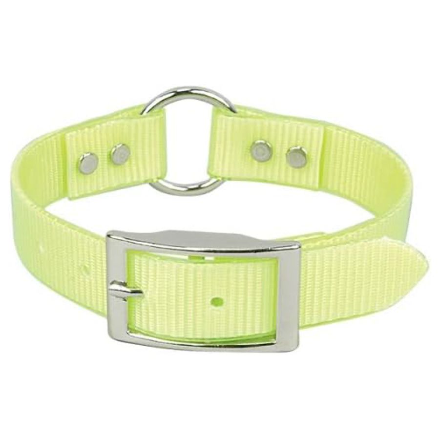 omni pet dog collar yellow with loop
