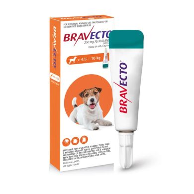 bravecto small dog
