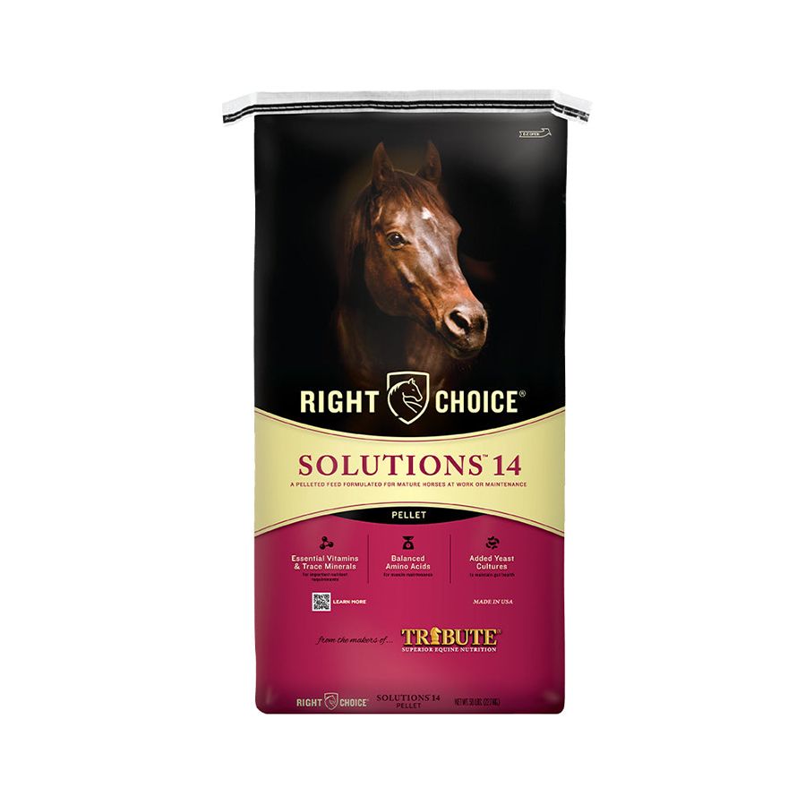 right choice solutions 14 pellet horse feed