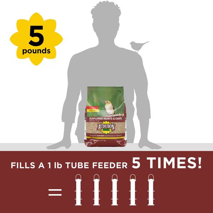 audubon bird feed sunflower hearts