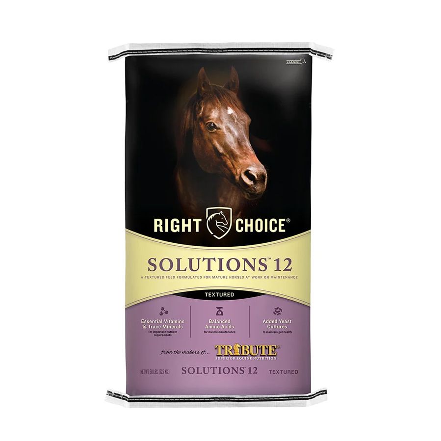 right choice solutions equine feed