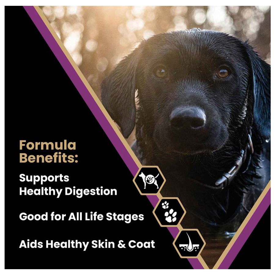 victor super premium dog food