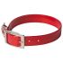 omni pet dog collar red