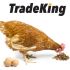 trade king dried crickets
