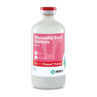 bovilis piliguard pink eye treatment