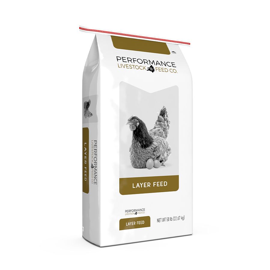 performance livestock feed company chicken feed 16 layer pellets