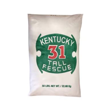 kentucky 31 tall fescue lawn care 50 lb bag