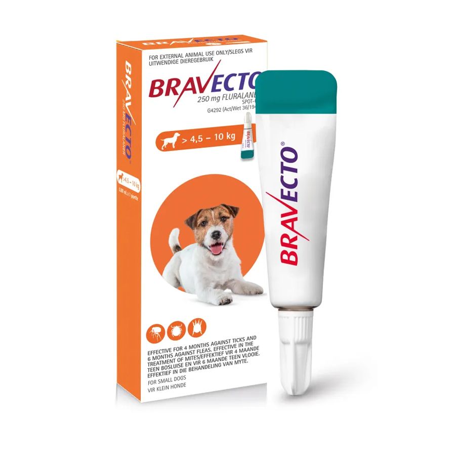 bravecto small dog