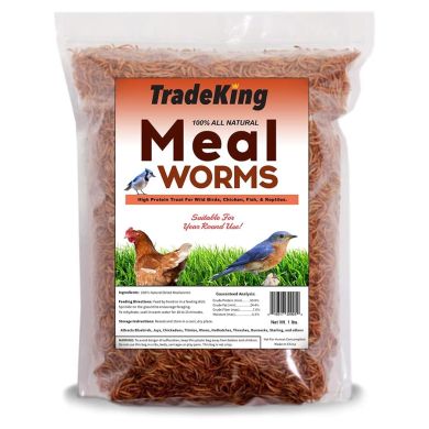 meal worms trade king