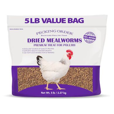dried mealworms pecking order